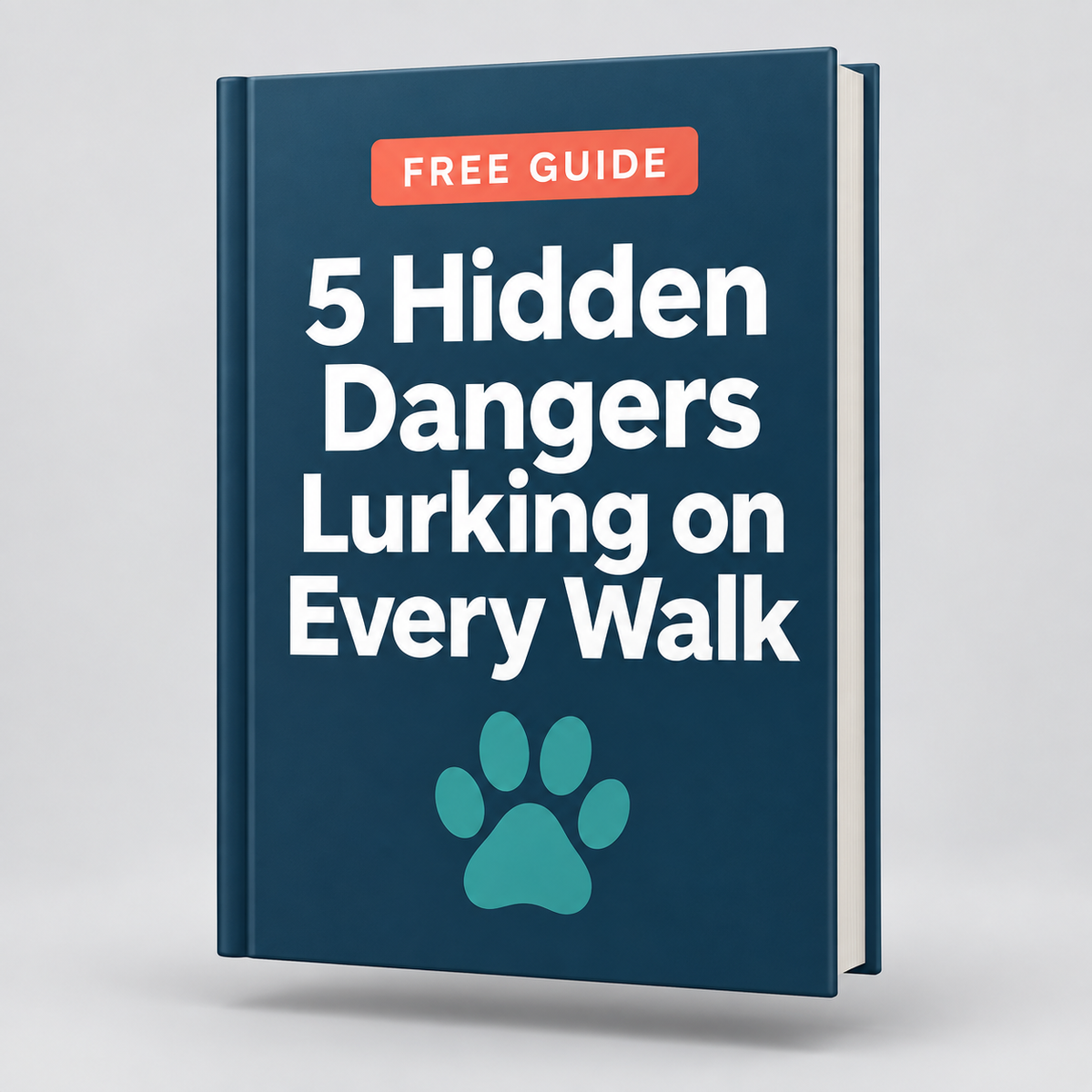 5 Hidden Dangers on Every Walk (Free Guide)
